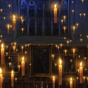 Meet your Posher, Zulema